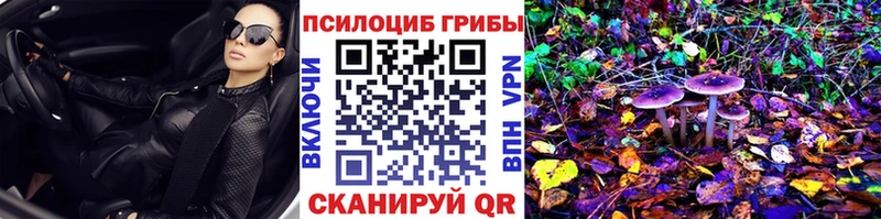 где купить наркоту  Клинцы  Псилоцибиновые грибы Psilocybine cubensis 
